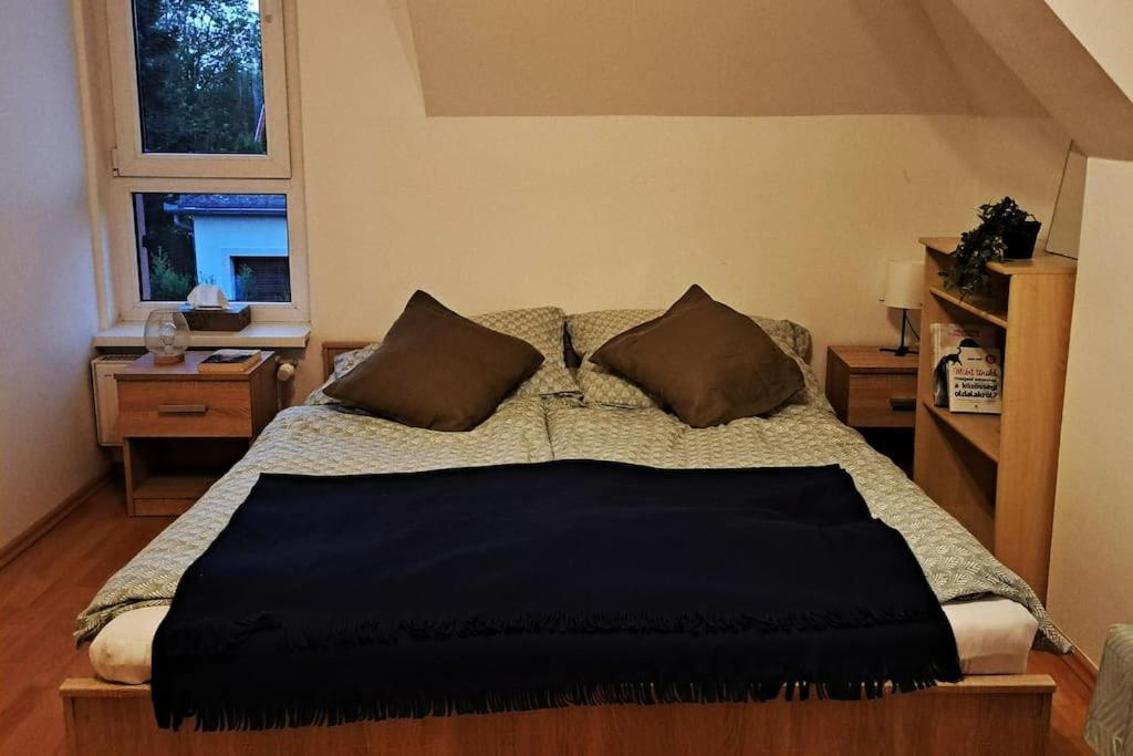 Zoeld Orom Apartman Lakas Göd Kültér fotó